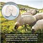 YOYEAH Balles de séchage - XL (8 cm) - Pour sèche-linge - En laine naturelle - Balles de séchage pour doudounes - Balles de tenn