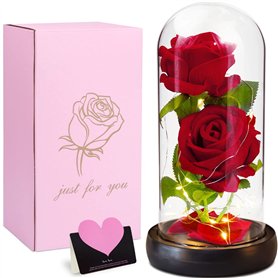 VIPNAJI Rose Eternelle sous Cloche