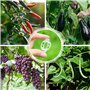 SYEYCW 80 Pièces Clips de Support pour Plantes, Tomate Clip de Jardin Sécurisé en Plastique, Support pour Attacher Les Plantes d