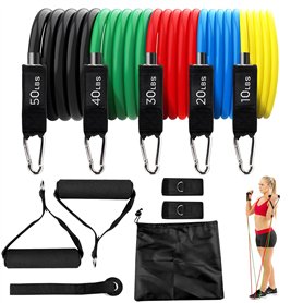 Lectorias 5 Élastique Musculation Fitness