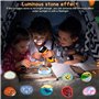 Wisplye Kit de Peinture sur Pierre Lumineuse pour Enfants, 10 Galets a Peindre Décorer avec Peintures et Autocollants, Kit de Lo