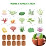 Yqhugbc 10 Pièces Anneau de Fixation pour Plantes Aquatiques,Filtre Anneaux en Céramique, Céramique Anneaux Biologiques,pour Les