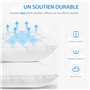 Antiallergique Anti Acarien d'oreiller Moelleux Microfibre Lavabl