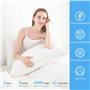 Oreiller 50x70 cm Lot de 2 Coussins Hotellerie Luxe Oreillers, Antiallergique Anti Acarien d'oreiller Moelleux Microfibre Lavabl