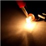 Weihong 10 pièces lampe de support de lampe en verre W2W T5 12V 2W lampe de signalisation incandescente lampe de voiture halogèn