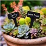 étiquettes pour plantes pour l'extérieur