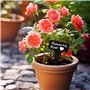 ARTGUTS Lot de 100 étiquettes pour plantes à étiqueter, étiquettes pour plantes pour l'extérieur, étiquettes en forme de T avec 