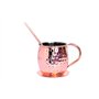 Airina homestyle Moscow Mule mug Lot de 2, martelé 2 Tasses en cuivre avec 2 pailles et 2 sous-Verres