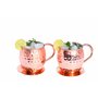 Airina homestyle Moscow Mule mug Lot de 2, martelé 2 Tasses en cuivre avec 2 pailles et 2 sous-Verres