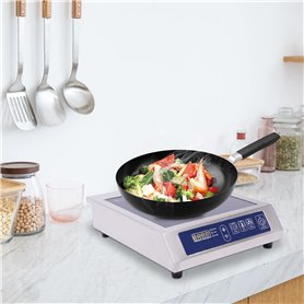 Plaque de cuisson à induction 3500 W