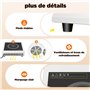 Plaque de cuisson à induction 3500 W, Plaque de cuisine electrique Réglable sur 10 niveaux, Plaque à induction avec 24h minuteri