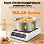 Plaque de cuisson à induction 3500 W, Plaque de cuisine electrique Réglable sur 10 niveaux, Plaque à induction avec 24h minuteri