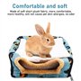 accessoires pour cochons d'Inde et lit pour pet