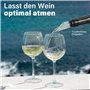 Rafraichisseur de Bouteille de Vin Bâton, Refroidisseur de Bouteille en Acier Inoxydable, Tige Refroidissante, kit d'accessoires
