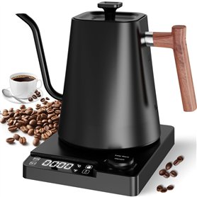 Bouilloire électrique col de cygne avec cafetière et théière en acier inoxydable