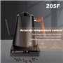 Bouilloire électrique col de cygne avec cafetière et théière en acier inoxydable, contrôle de la température, chauffage rapide, 