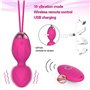 Boules de Geisha,2 en 1 Poids et massages d’exercice Kegel Balls Kegel Balls Débutants et resserrement - Médecin recommandé pour