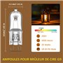 DoRight Pack de 10 Ampoules de Brûleur de Cire Fondue G9 Dimmable, Ampoule de Fusion de Cire Enfichable 25w G9 Lampe Halogène à 
