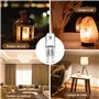 DoRight Pack de 10 Ampoules de Brûleur de Cire Fondue G9 Dimmable, Ampoule de Fusion de Cire Enfichable 25w G9 Lampe Halogène à 