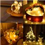 ILantule Lot de 6 Guirlandes Lumineuses à Piles,2m 20 LEDs Guirlandes Lumineuses LED,Mini Led Intérieur Decoration pour Chambre 