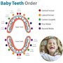 GeekerChip boîte pour dents de lait(fille) cadeau pour enfants en bois de souvenir,boîte en bois pour ranger les dents[Version f