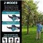 50 mm Sécateur électrique - Sécateur électrique professionnel de avec 2 batteries 21 V/2000 mAh - Sécateur sans fil pour l'élaga