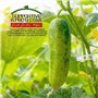 ASPIRER Plante Clips à Suspendre, inces de Jardin pour tomates et légumes de Vigne Clipsplant Support