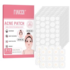 312 Pièces Pimple Patches