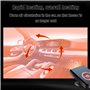 EUSIFA Réchauffeur de Voiture, 12V 120W 2 en 1 Portable Chauffage De Voiture Dégivreurs pour Pare-Brise Auto avec Prise Allume-C