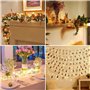 Diealles Shine Guirlande LED Interieur, 20M 200LED Guirlande LED à Pile, Blanc Chaud Guirlande Lumineuse Sapin de Noel pour Déco