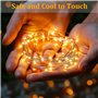 Diealles Shine Guirlande LED Interieur, 20M 200LED Guirlande LED à Pile, Blanc Chaud Guirlande Lumineuse Sapin de Noel pour Déco