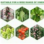 EUIEUT 24 Pcs Tuteur Plante Grimpante 11mmX40cm, Tuteur Plante Intérieur en Acier Plastifié, Piquets de Support pour Plantes Rég