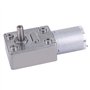 DC 24V 5-150RPM Grand moteur à engrenages à vis sans fin de type micro Moteur de réduction de vitesse DC Moteur de réduction de 