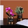 20 Pièces Fleurs et Plantes Étiquettes, 7.6 x 18.2 cm Étiquettes en Bois, Étiquettes de Jardin, en Forme de Coeur, Créatif, Port