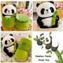 Poilue Panda Jouets en