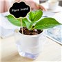 Marqueurs de Jardin en Bois, 20 Pièces Mini Tableau Noir, Étiquettes de Plantes en Bois, Papillon et Forme de Nuage pour Pépiniè