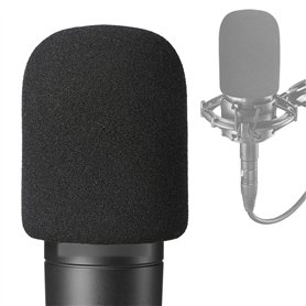 AT2035 Bonnette Micro en Mousse - Microphone Filtre Anti-pop Professionel pour réduire bruit pour Micro à Condensateur Audio Tec