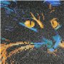 MXJSUA DIY 5d Diamant Peinture par numéro kit,broderie diamant chat Full perceuse Chat Noir Strass à broder au point de croix d'