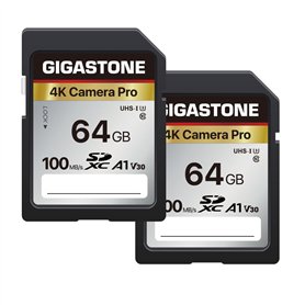 [5 Ans Récupération de données Gratuite] GIGASTONE 64Go Lot de 2 Carte SD