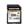 Gigastone A2 V60 Carte Mémoire SDXC 256 Go