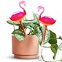 NiHome Flamingo Lot de 2 bulbes d'arrosage Automatique 25