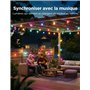 Govee Guirlande Lumineuse d'Extérieur, 15m RGBWIC à Intensité Variable, 16 Million de Couleurs et 111 Modes Scène, 80lm par LED,