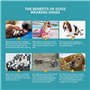 AQH Bottes Thermiques pour Chiens avec Sangles réfléchissantes, Semelle en Caoutchouc Microfibre Respirante, Protection des Patt