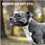 BRONZEDOG Pitbull Muselière en métal pour Chien avec Sangles réglables en Cuir pour Grands Chiens (Noir)