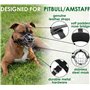 BRONZEDOG Pitbull Muselière pour Chien en métal Amstaff avec Sangles réglables en Cuir pour Grands Chiens (Rose)