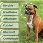 BRONZEDOG Pitbull Muselière pour Chien en métal Amstaff avec Sangles réglables en Cuir pour Grands Chiens (Rose)