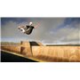 Skater XL (Nintendo Switch)