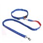 Corde à Glisser for Animaux de Compagnie