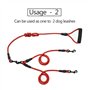 Laisses Doubles en Nylon Double Chien Lumineux Amovible Laisse d'ent