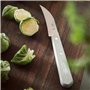 Opinel - Coffret de 4 Couteaux de Cuisine Les Essentiels Art Déco - N°112 Office, N°113 Cranté, N°114 Légumes, N°115 Éplucheur -